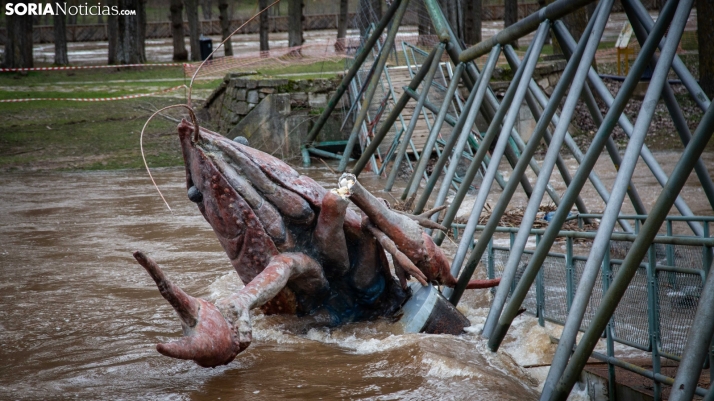 El Duero se desborda a su paso por Soria, en imágenes