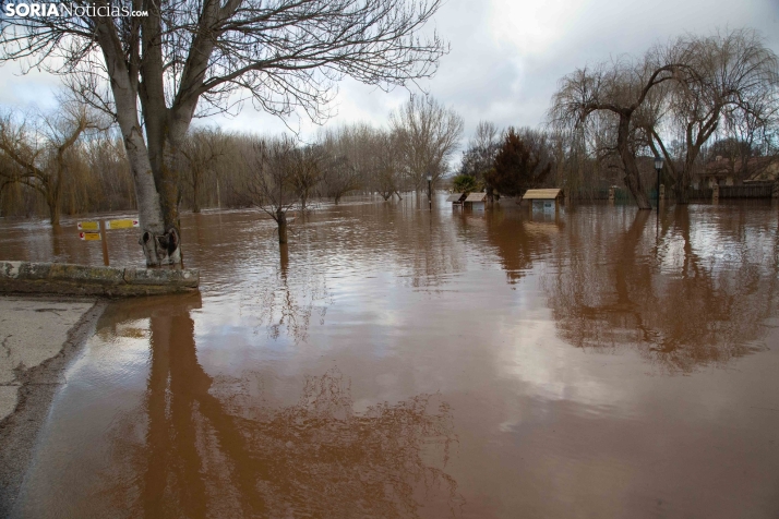 Crecida del Duero 12 febrero en Soria 