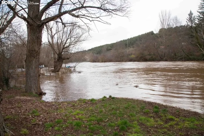 Crecida del Duero 12 febrero en Soria 
