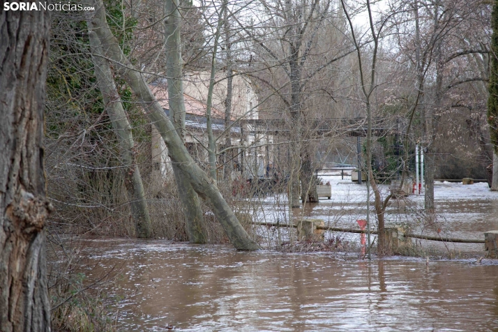 Crecida del Duero 12 febrero en Soria 
