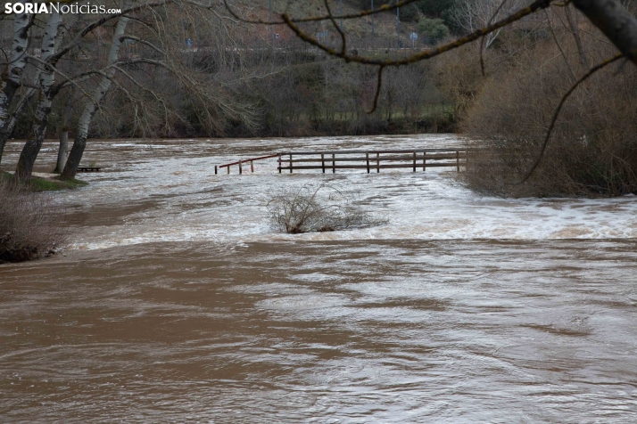 Crecida del Duero 12 febrero en Soria 