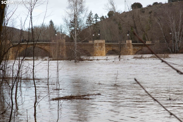 Crecida del Duero 12 febrero en Soria 
