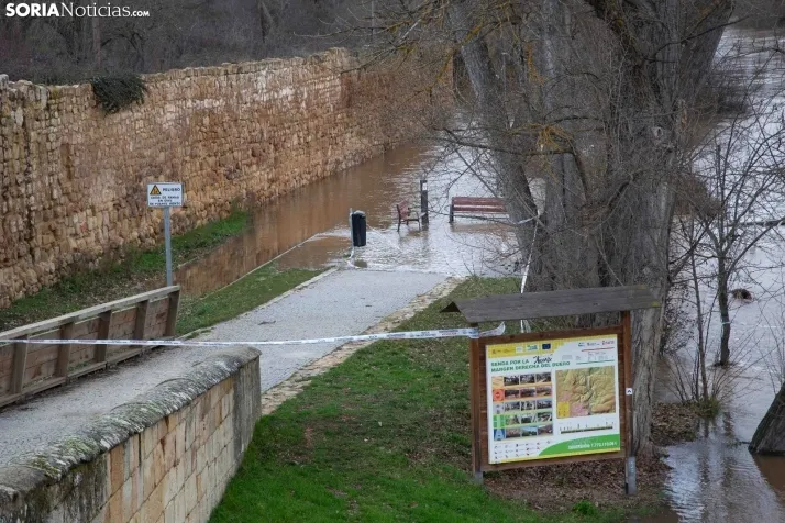 Crecida del Duero 12 febrero en Soria 