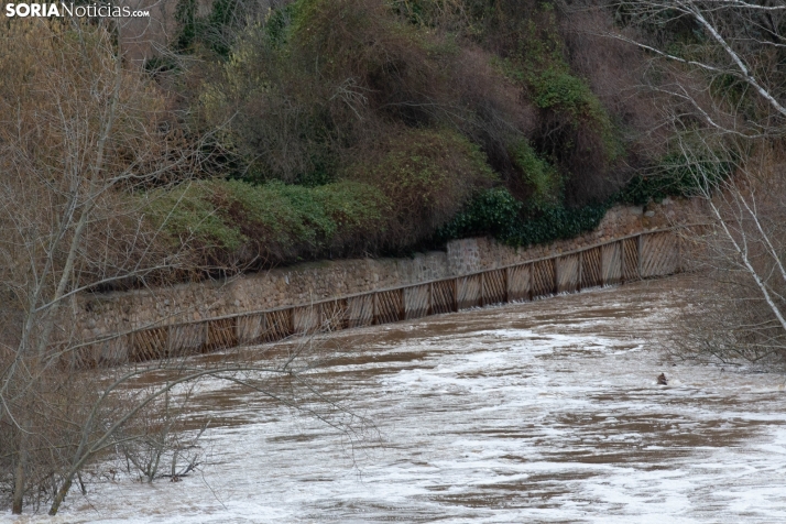 Crecida del Duero 12 febrero en Soria 