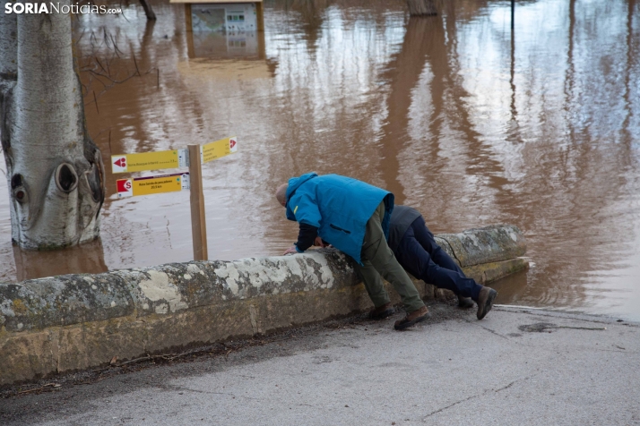 Crecida del Duero 12 febrero en Soria 