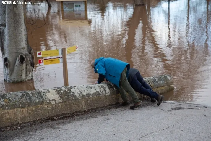 Crecida del Duero 12 febrero en Soria 