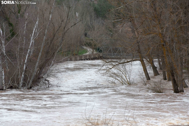 Crecida del Duero 12 febrero en Soria 
