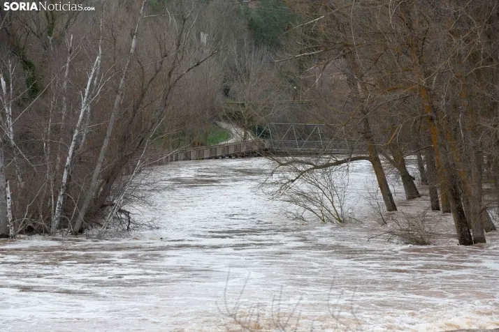 Crecida del Duero 12 febrero en Soria 