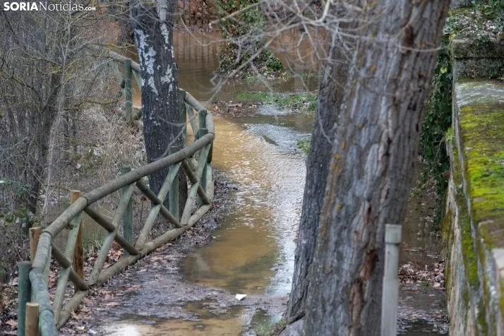 Crecida del Duero 12 febrero en Soria 