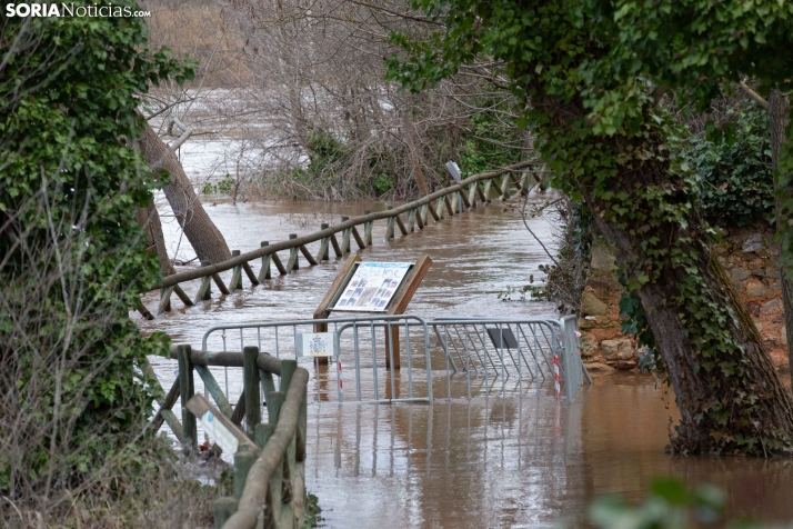 Crecida del Duero 12 febrero en Soria 