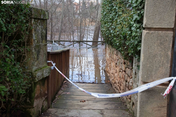 Crecida del Duero 12 febrero en Soria 