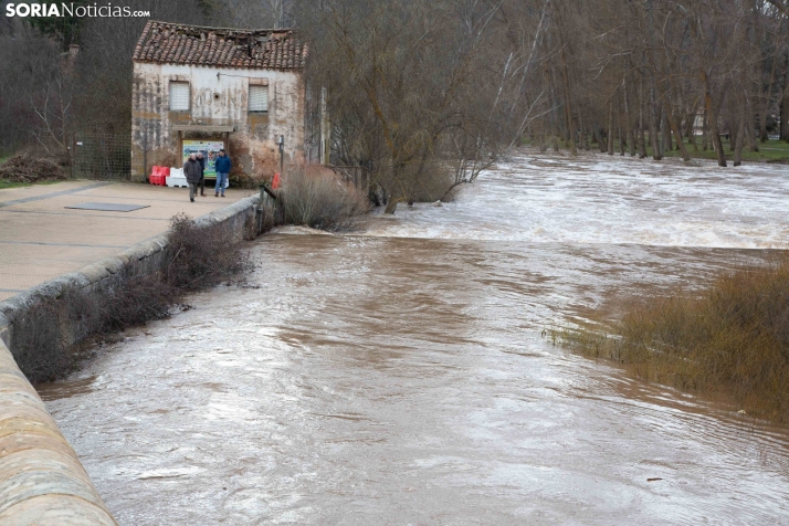 Crecida del Duero 12 febrero en Soria 