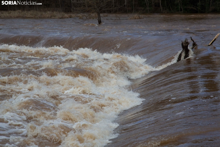 Crecida del Duero 12 febrero en Soria 