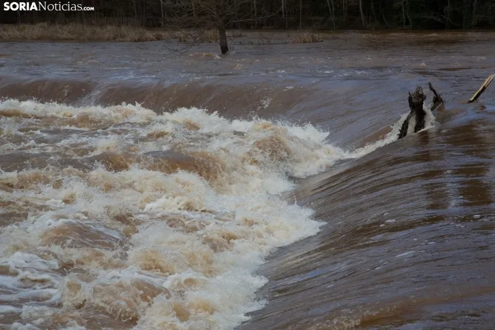 Crecida del Duero 12 febrero en Soria 