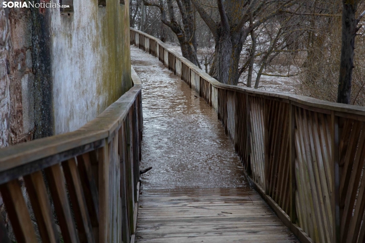 Crecida del Duero 12 febrero en Soria 