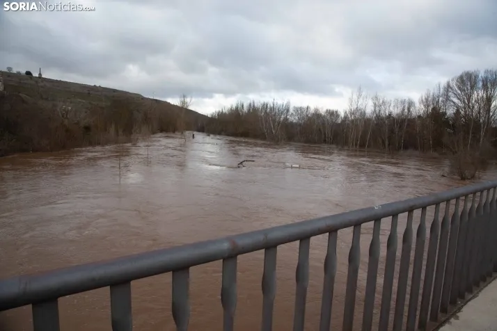 Crecida del Duero 12 febrero en Soria 