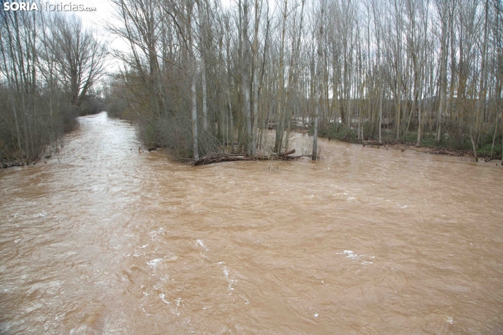 Crecida del Duero 12 febrero en Soria 