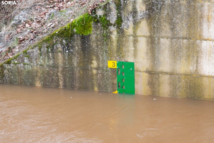Crecida del Duero 12 febrero en Soria 