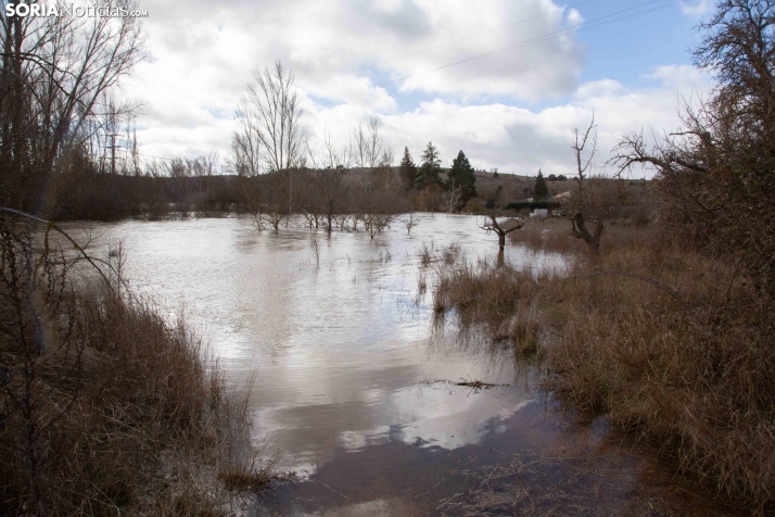 Crecida del Duero 12 febrero en Soria 