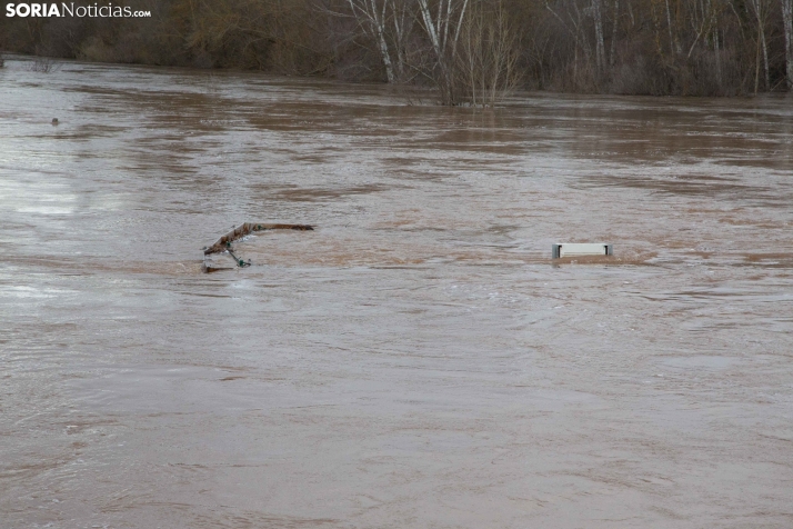 Crecida del Duero 12 febrero en Soria 