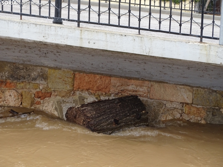Una imagen este mediodía del entorno del Duero en San Esteban. /PC