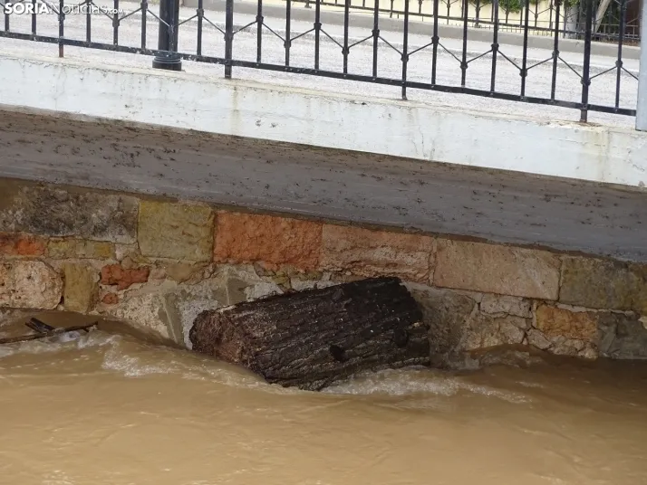 Una imagen este mediodía del entorno del Duero en San Esteban. /PC