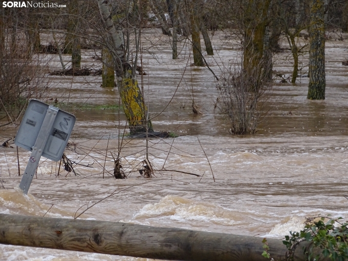 Una imagen este mediodía del entorno del Duero en San Esteban. /PC