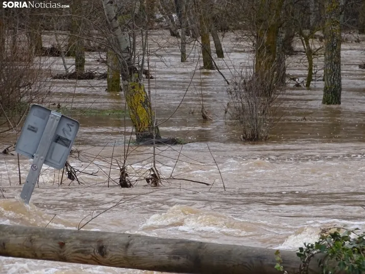 Una imagen este mediodía del entorno del Duero en San Esteban. /PC