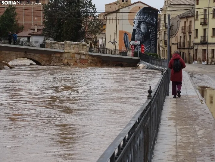Una imagen este mediodía del entorno del Duero en San Esteban. /PC