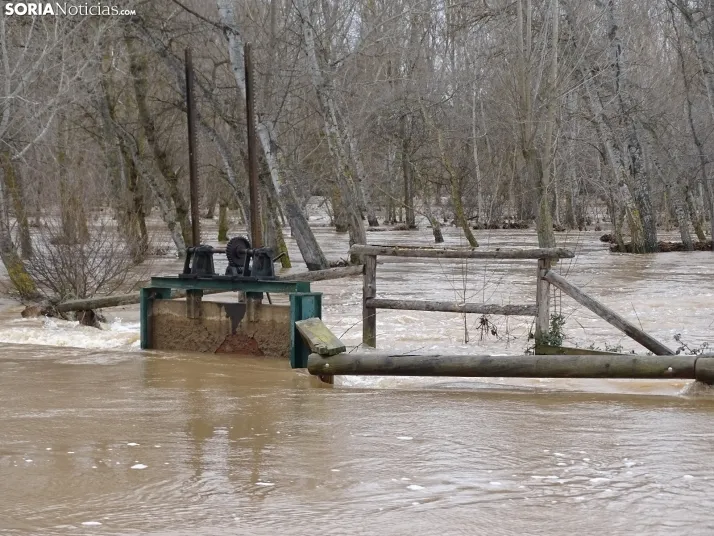 Una imagen este mediodía del entorno del Duero en San Esteban. /PC