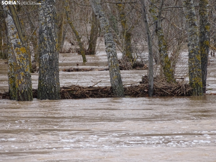 Una imagen este mediodía del entorno del Duero en San Esteban. /PC