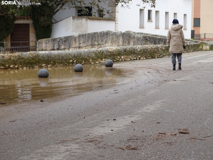 Una imagen este mediodía del entorno del Duero en San Esteban. /PC