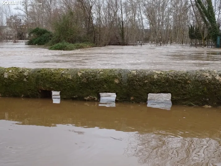 Una imagen este mediodía del entorno del Duero en San Esteban. /PC