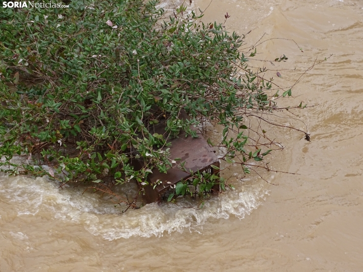 Una imagen este mediodía del entorno del Duero en San Esteban. /PC