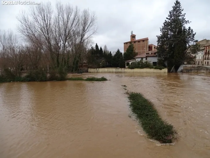 Una imagen este mediodía del entorno del Duero en San Esteban. /PC