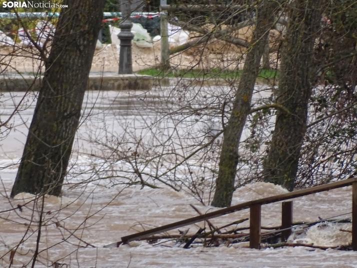 Una imagen este mediodía del entorno del Duero en San Esteban. /PC