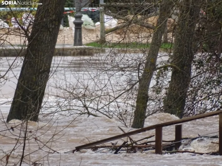 Una imagen este mediodía del entorno del Duero en San Esteban. /PC