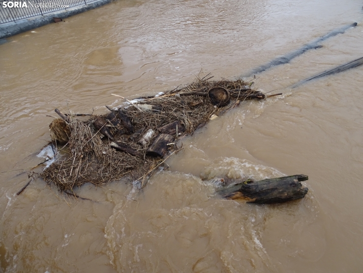Una imagen este mediodía del entorno del Duero en San Esteban. /PC