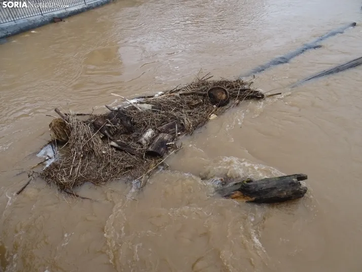 Una imagen este mediodía del entorno del Duero en San Esteban. /PC