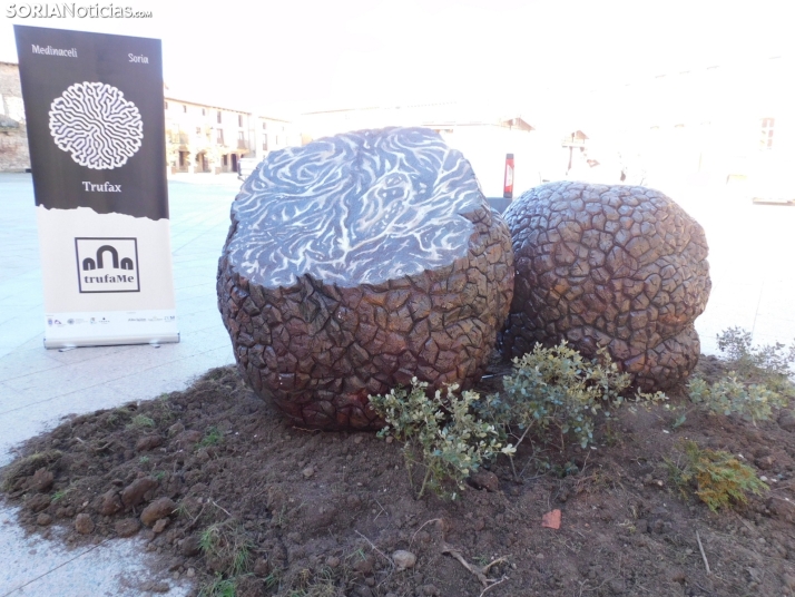 Fotos: Medinaceli celebra su feria de la trufa con el objetivo de convertirse en un referente mundial