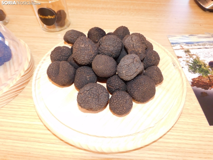 Fotos: Medinaceli celebra su feria de la trufa con el objetivo de convertirse en un referente mundial