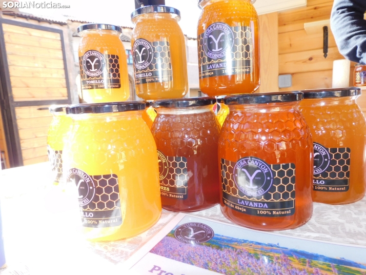 Fotos: Medinaceli celebra su feria de la trufa con el objetivo de convertirse en un referente mundial