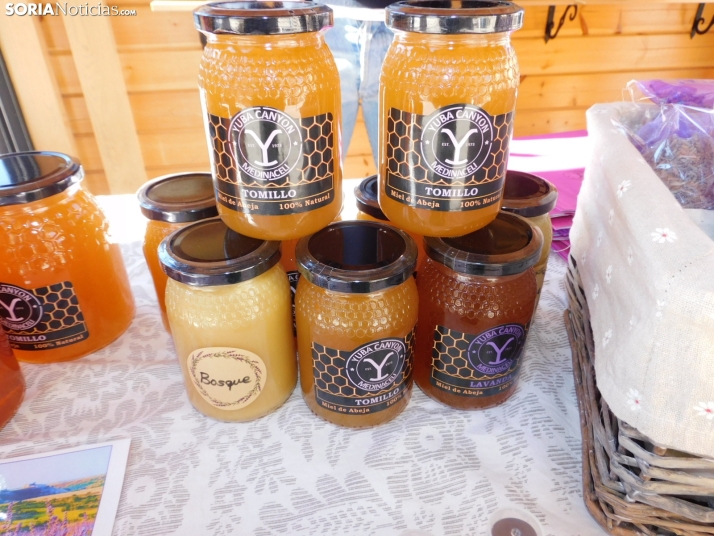 Fotos: Medinaceli celebra su feria de la trufa con el objetivo de convertirse en un referente mundial