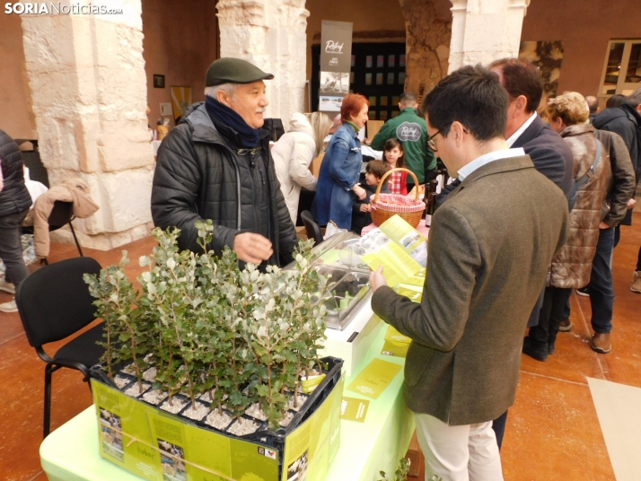 Fotos: Medinaceli celebra su feria de la trufa con el objetivo de convertirse en un referente mundial