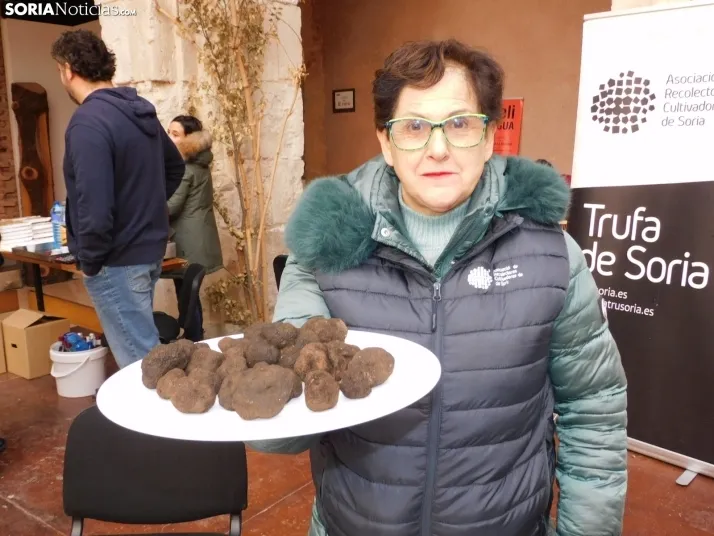 Fotos: Medinaceli celebra su feria de la trufa con el objetivo de convertirse en un referente mundial