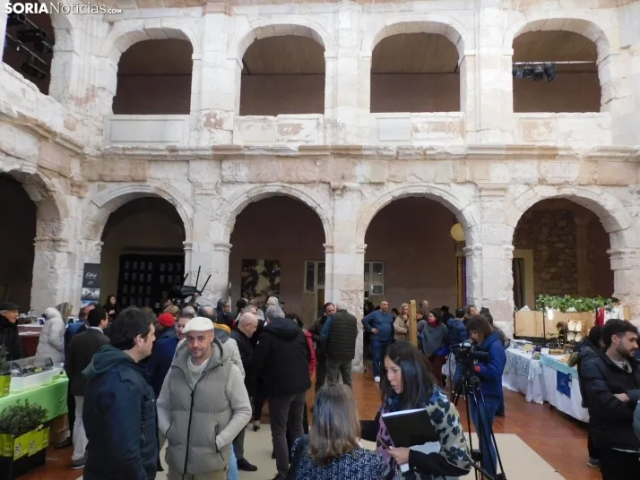 Fotos: Medinaceli celebra su feria de la trufa con el objetivo de convertirse en un referente mundial