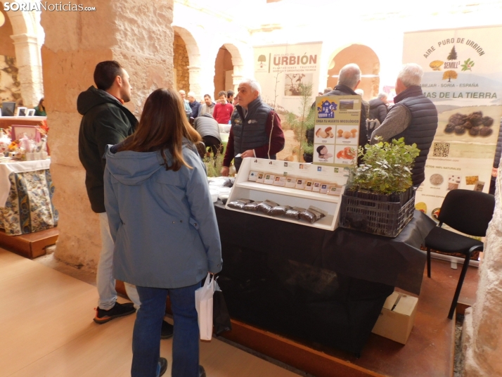 Fotos: Medinaceli celebra su feria de la trufa con el objetivo de convertirse en un referente mundial