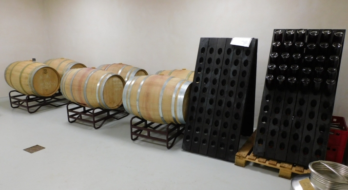 La FP de Vitivinicultura en San Esteban necesita refuerzo para cubrir las necesidades del sector bodeguero