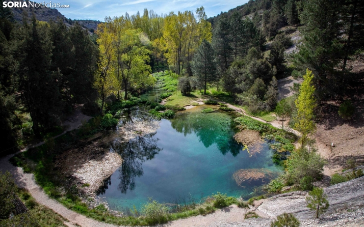 Abre la consulta pública para elaborar el Plan Nacional de Restauración de la Naturaleza