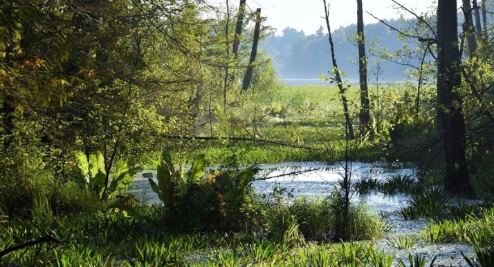 Inversión de 10M€ para restaurar humedales en Soria y CyL